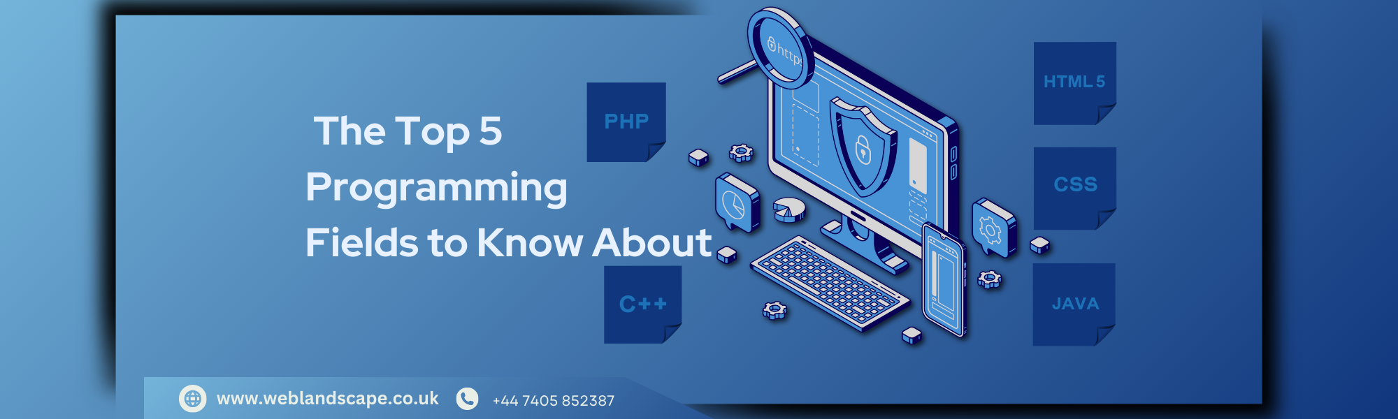The Top 5 Programming Fields to Know About